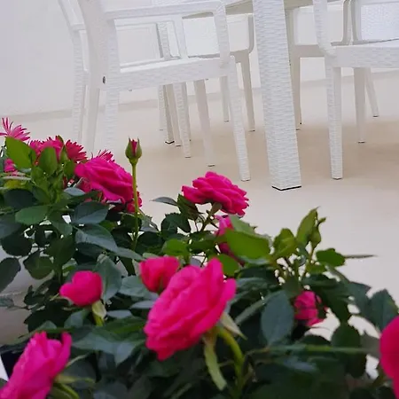 Casa Nobiliare Scuderi Apartment *